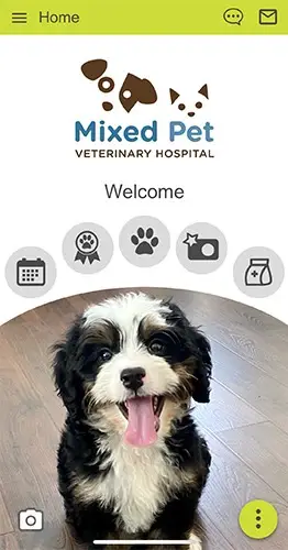 Screenshot of the Mixed Pet app.