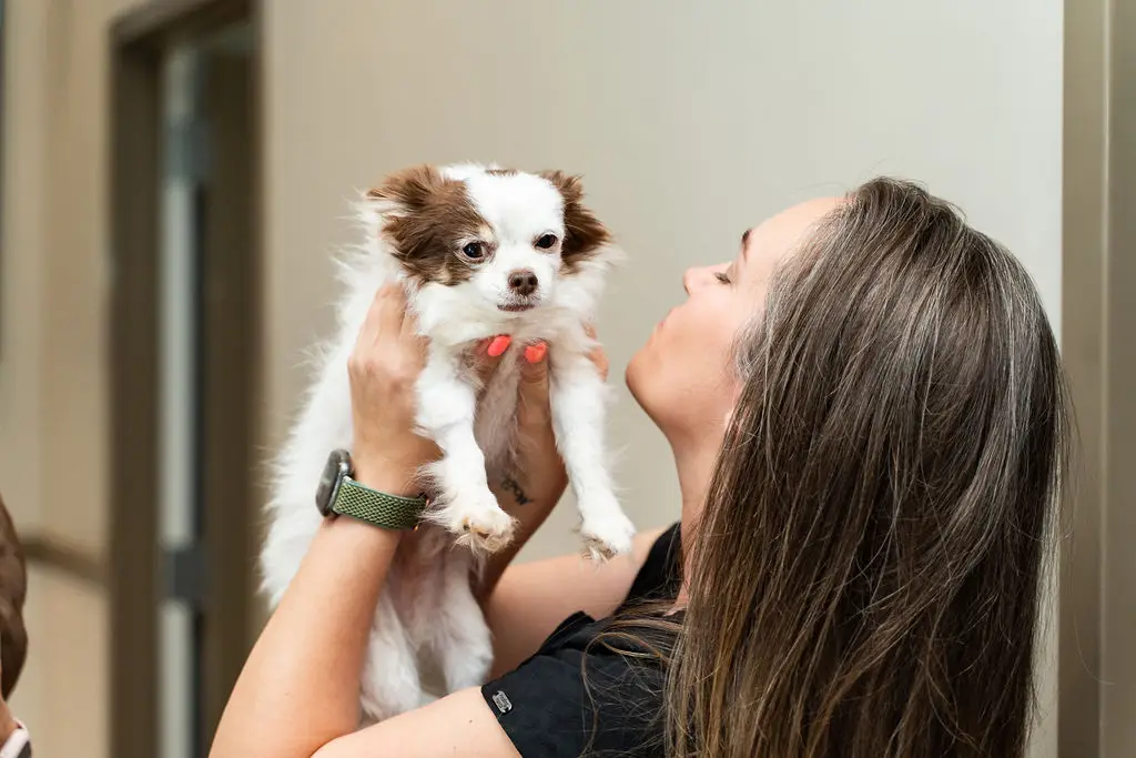 Veterinary staff holds up a puppy for a kiss.