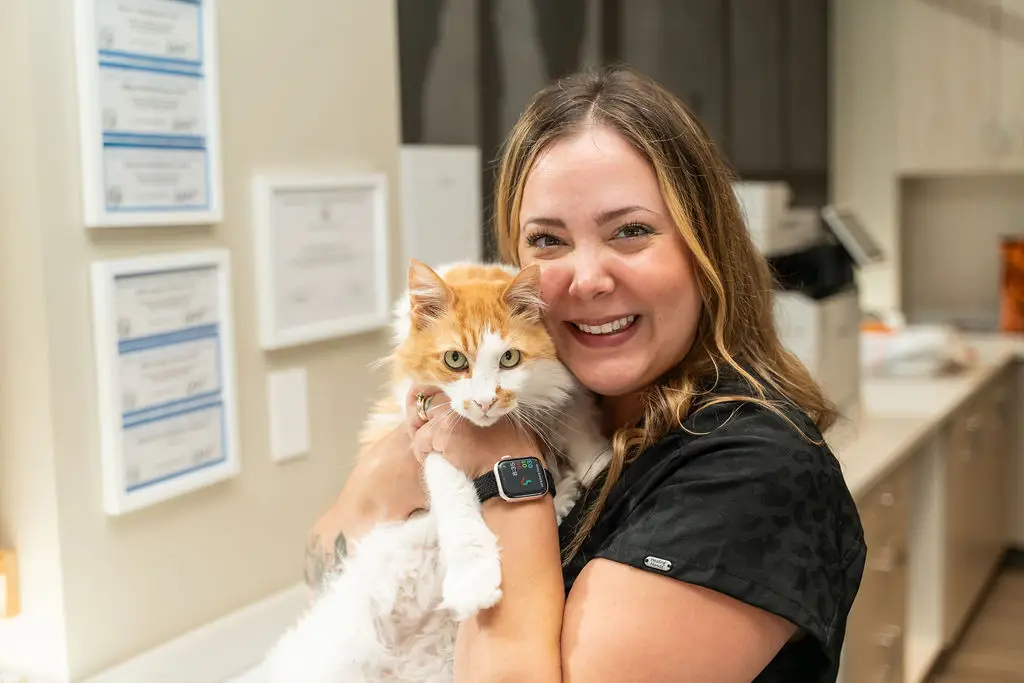 Team member at Mixed Pet Veterinary Hospital cuddles a long haired cat