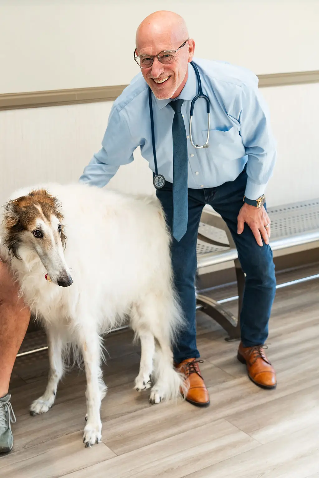 Dr. Schoolmeester smiling and petting a borzoi dog at Mixed Pet Veterinary Hospital in Charlotte, NC
