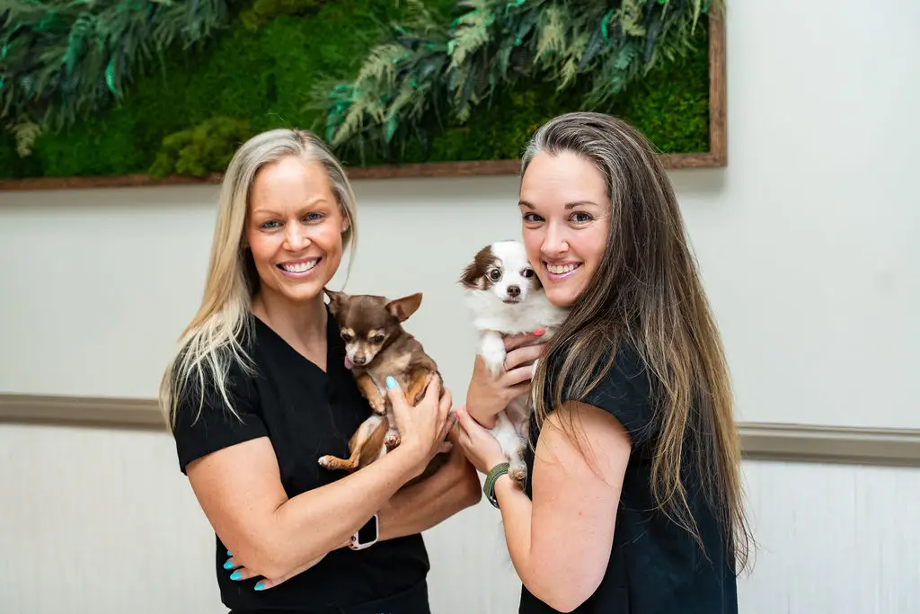Veterinary staff at Mixed Pet Verterinary Hospital in Charlotte, NC, hold chihuahuas.
