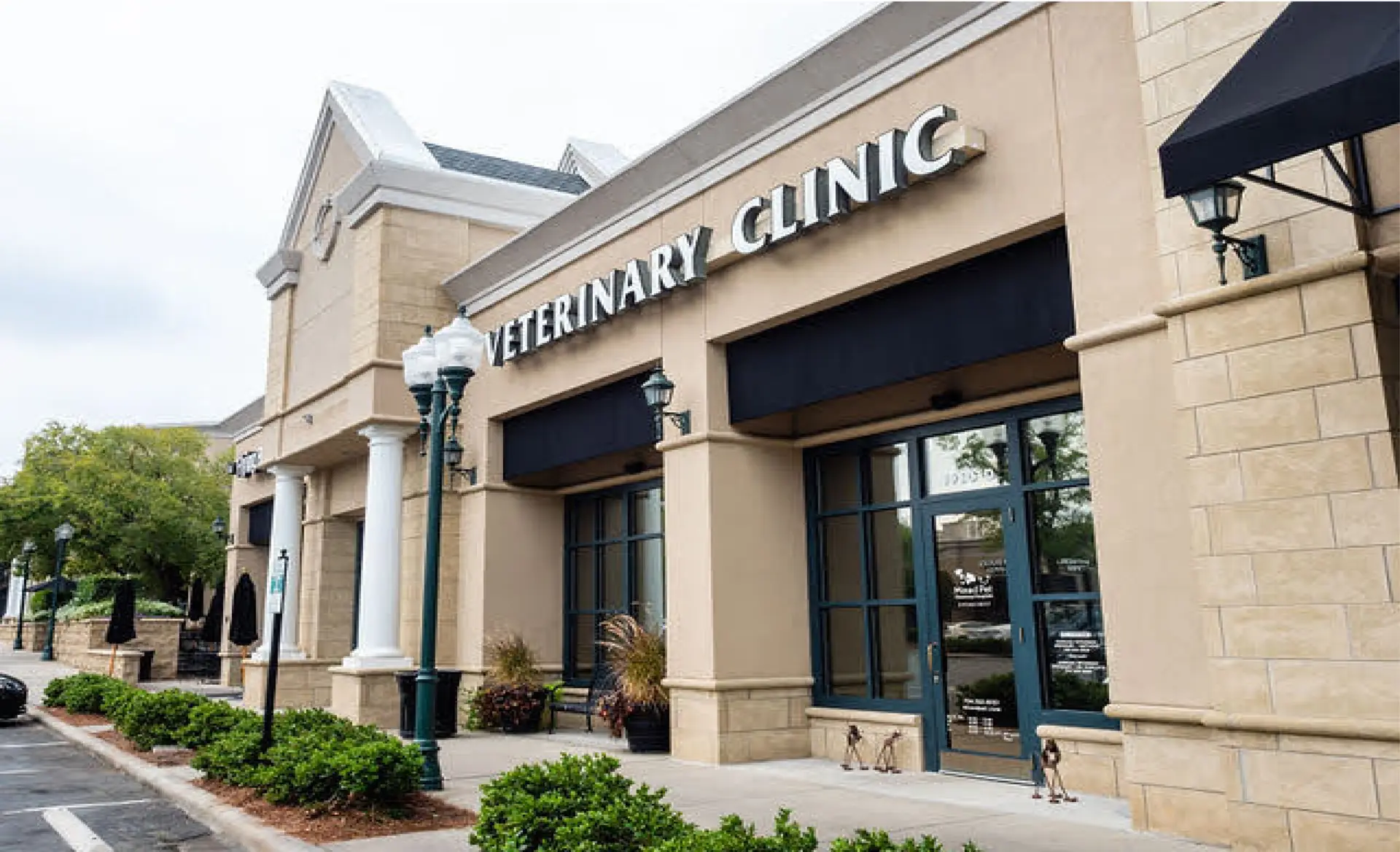 The exterior view of Mixed Pet Veterinary hospital in Charlotte, NC.
